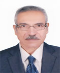 Prof. Mazen Abdel-Salam