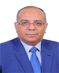 Prof. Hosam A. Shawky